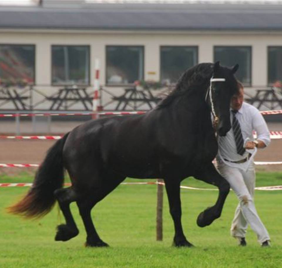 Resultat premieringen i Sala