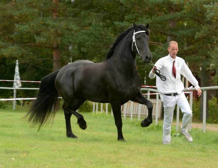 Resultat från 2013 års premiering i Vetlanda