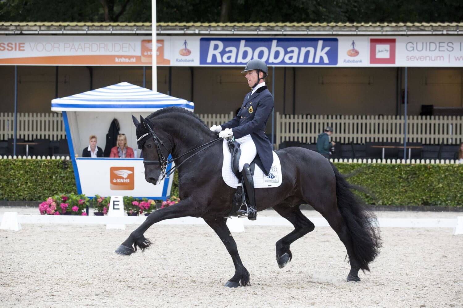 Djorn va de Demro Stables – ELIAS 494