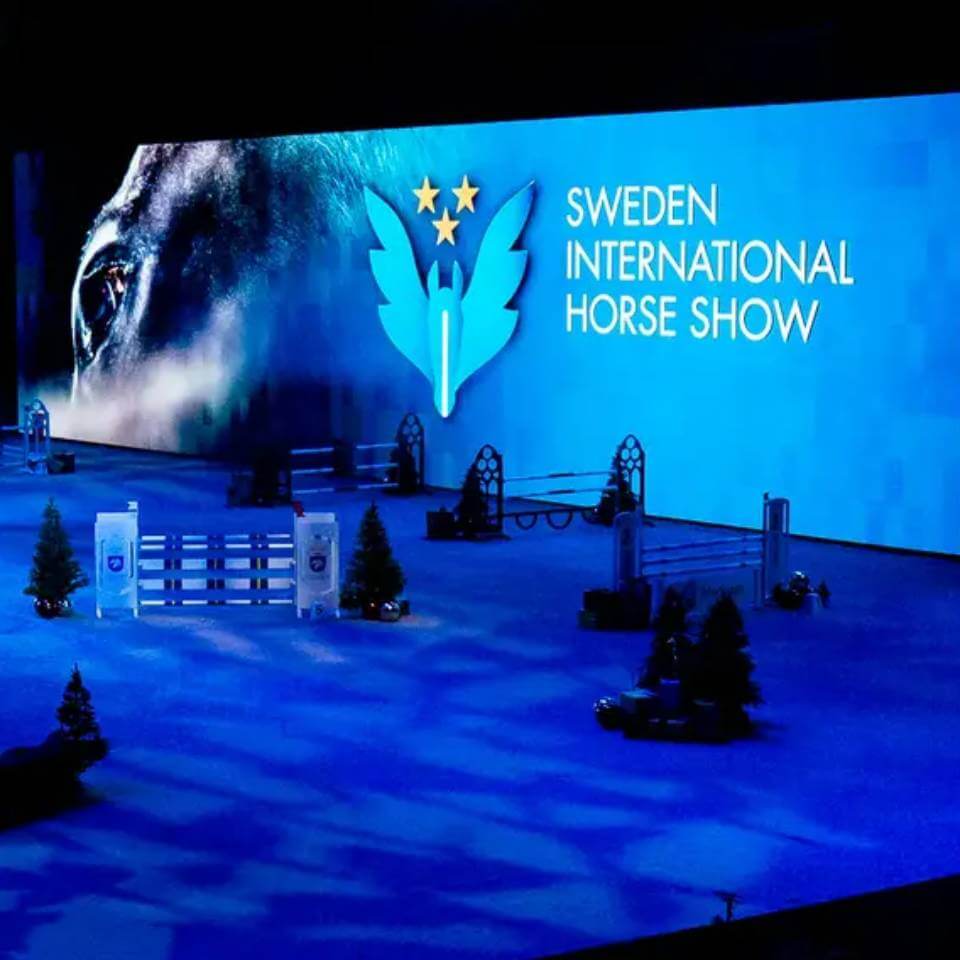 SFHF inbjudna till Friends Arena 2015