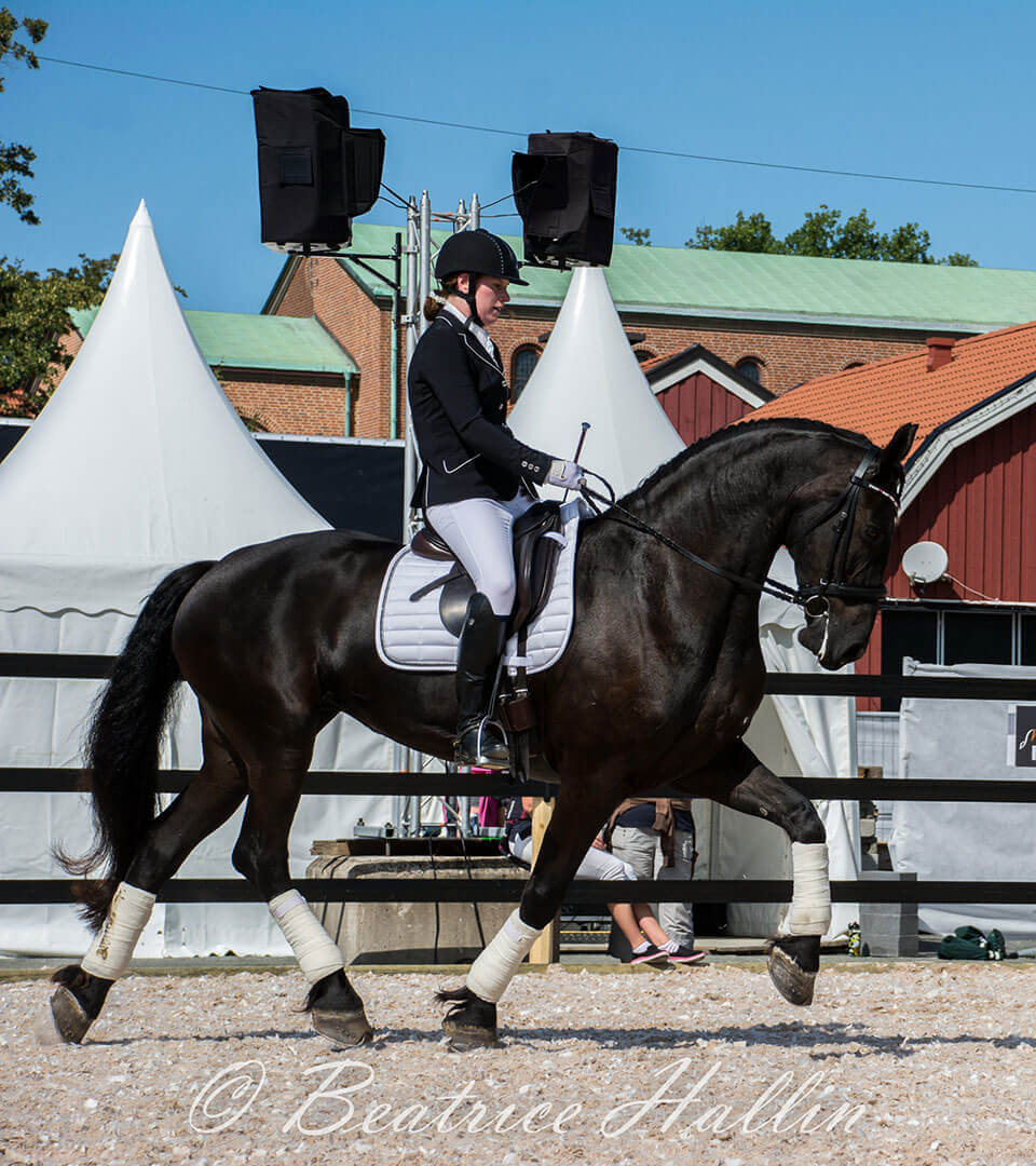 Sfhf Anna Linner Ysolde 3