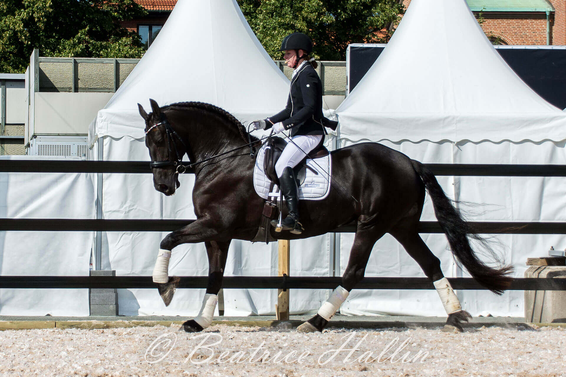 Sfhf Anna Linner Ysolde 4