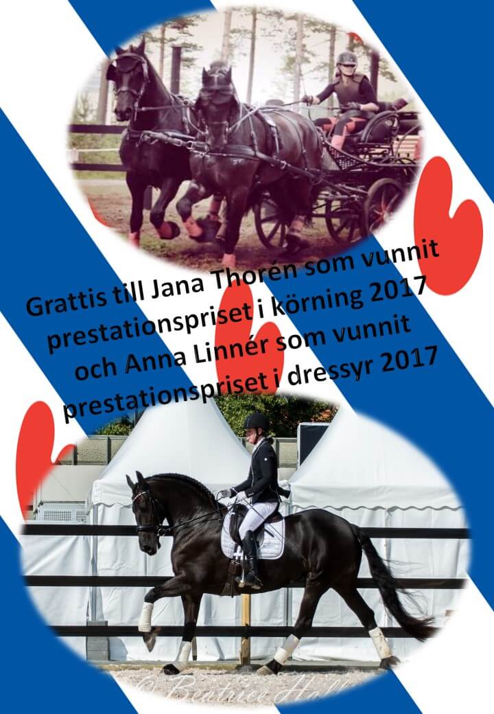 Vinnare av prestationspriset 2017