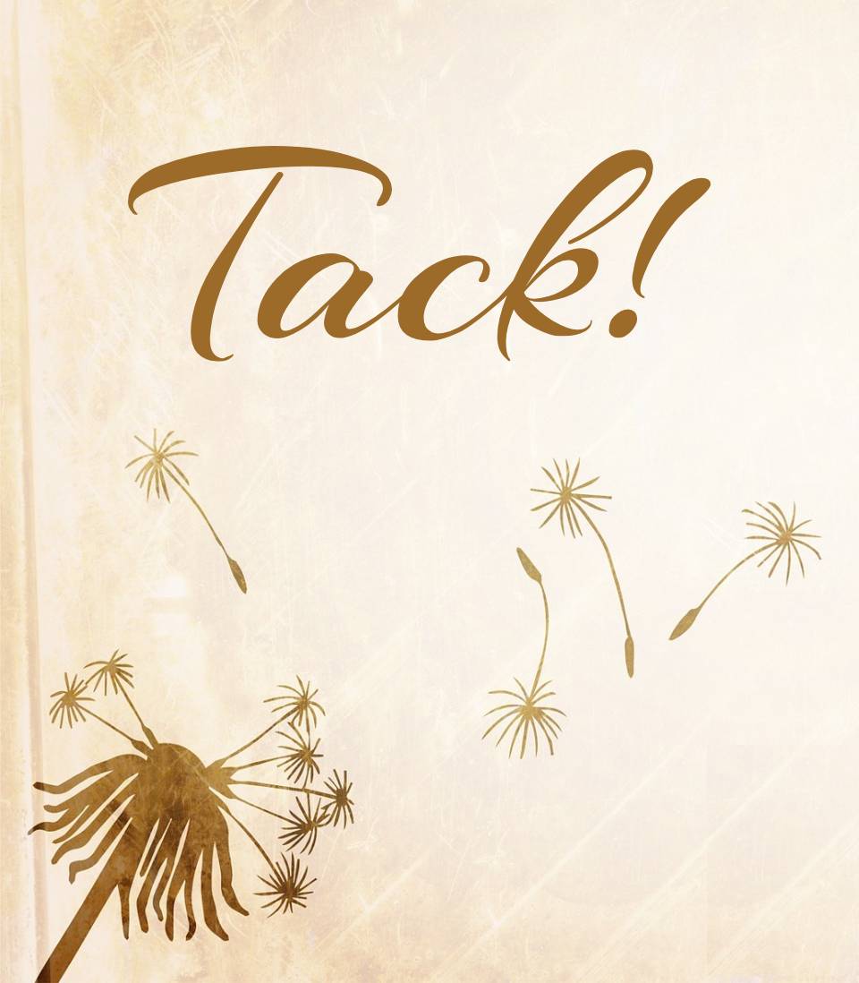 Premieringens sponsorer 2018