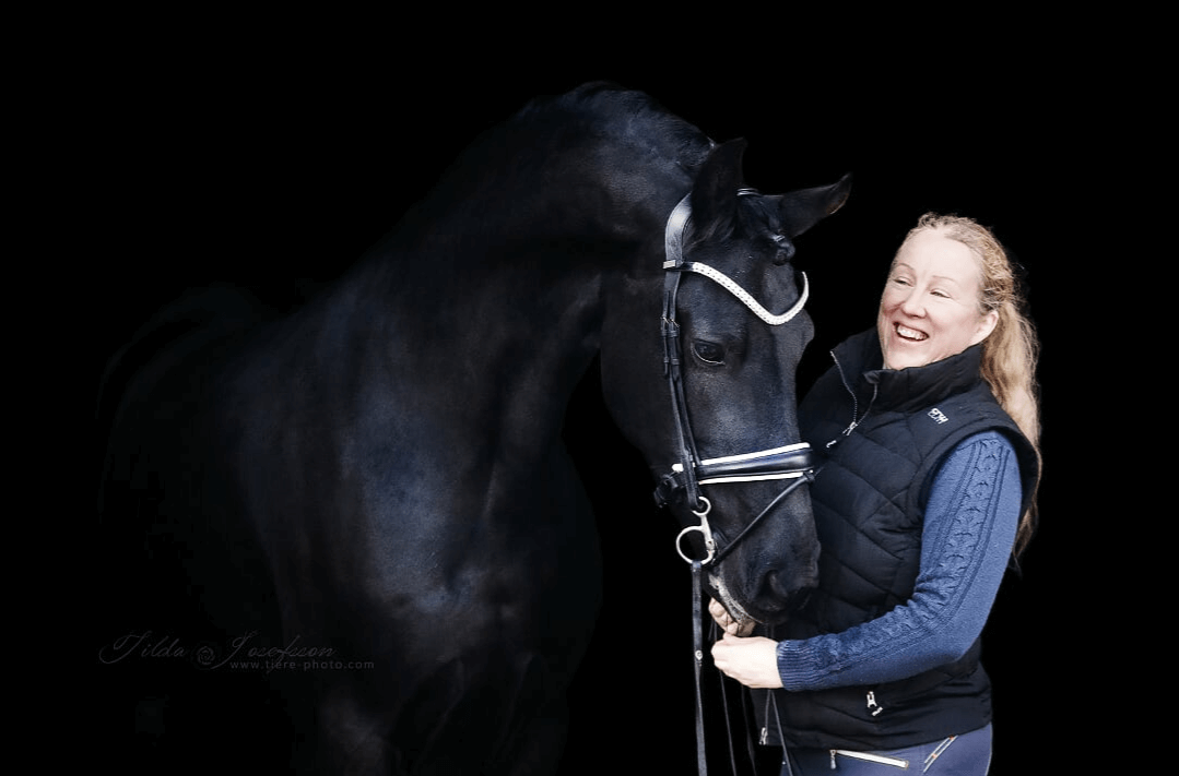 SIHS/Friends arena 2018