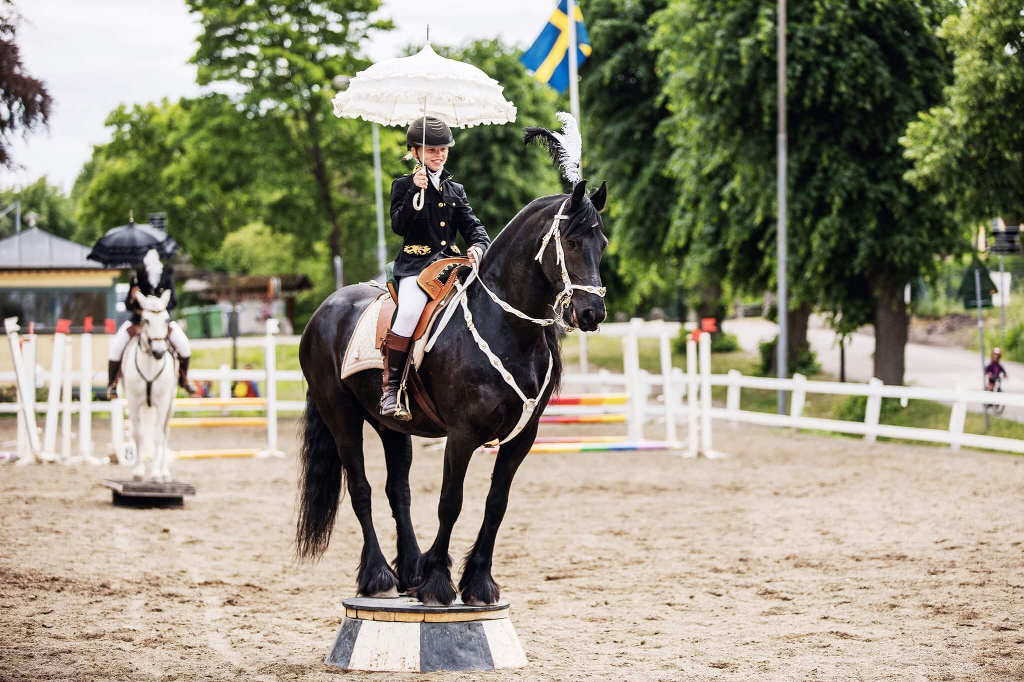 Solvalla Djurens Helg 2019