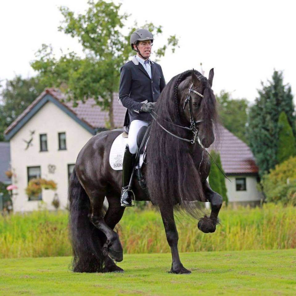 Elias 494 vinner GrandPrix!