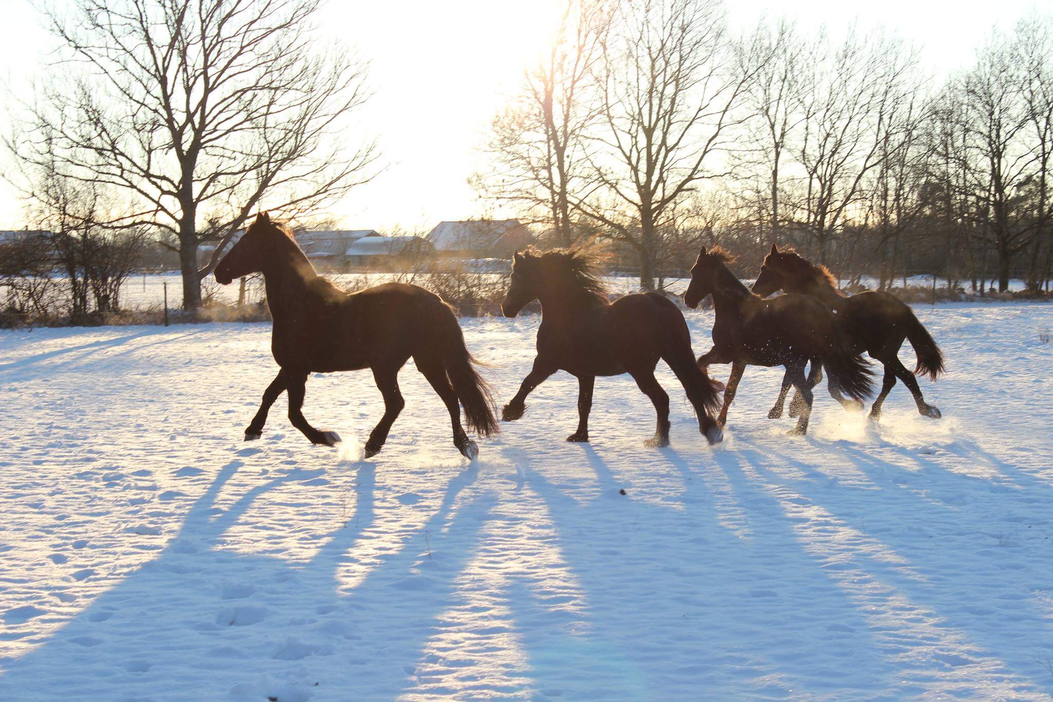 God Jul & Gott Nytt År!
