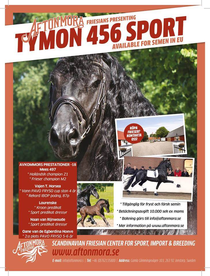TYMON 456 NU SPORT-ELIT!