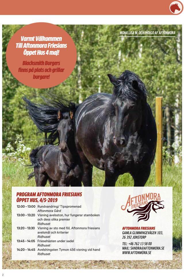 Öppet hus hos Aftonmora Friesians!