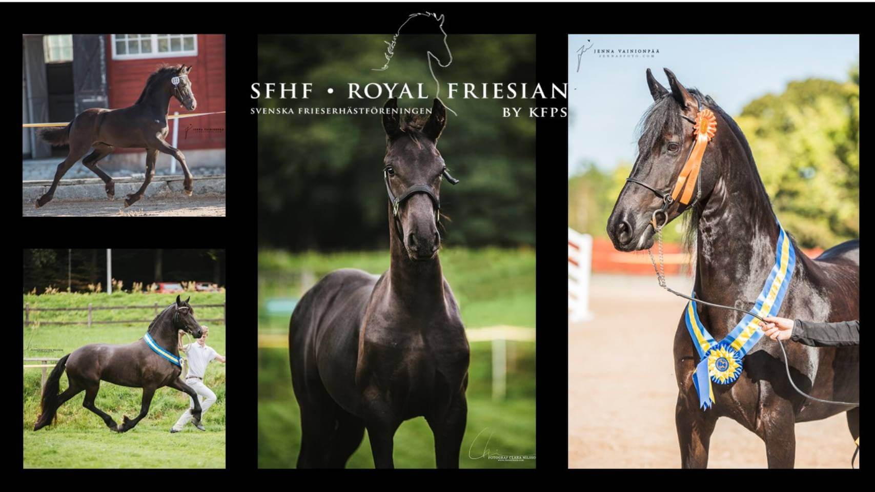 Dags att anmäla till årets premiering!