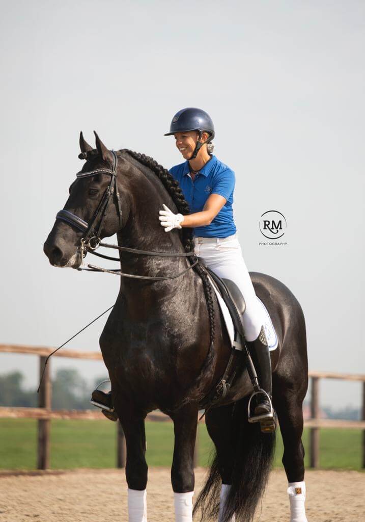 Mees 497 Sport Elite till Aftonmora Friesians!