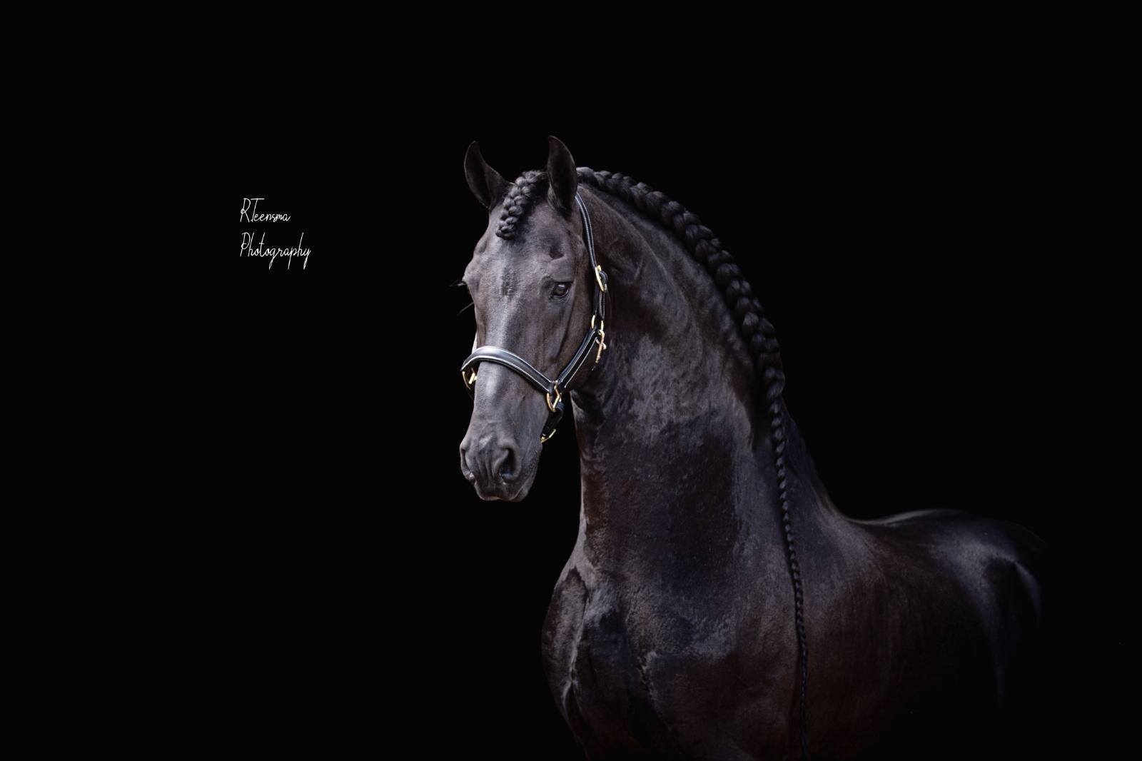 Tymon 456 bäst i världen!