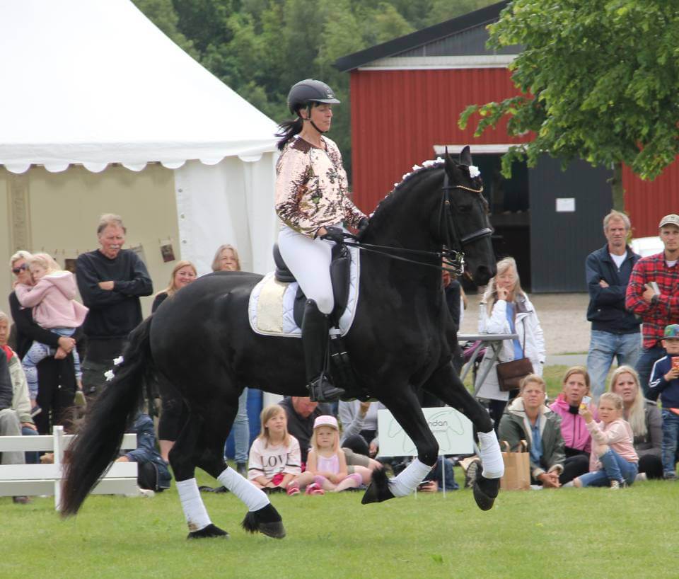 Startlista dressyrtävling online