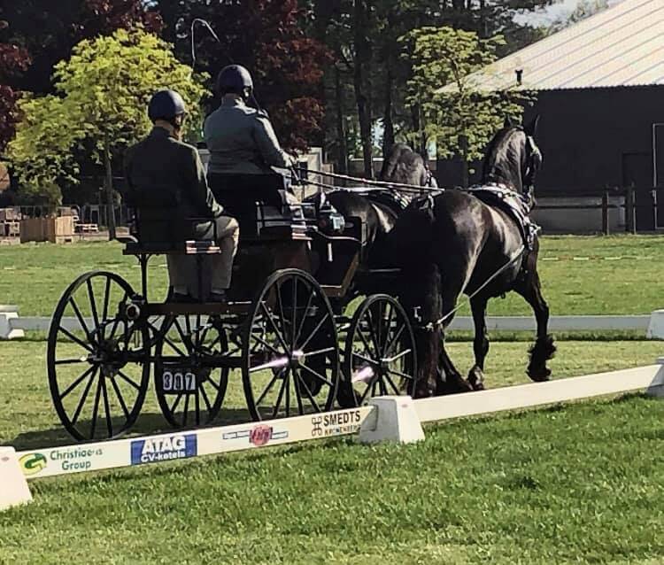 GRATTIS TEAM AMANDA KROGSTAD JANSSON