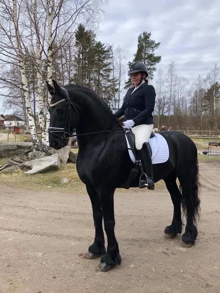 Vinnare dressyrtävling online