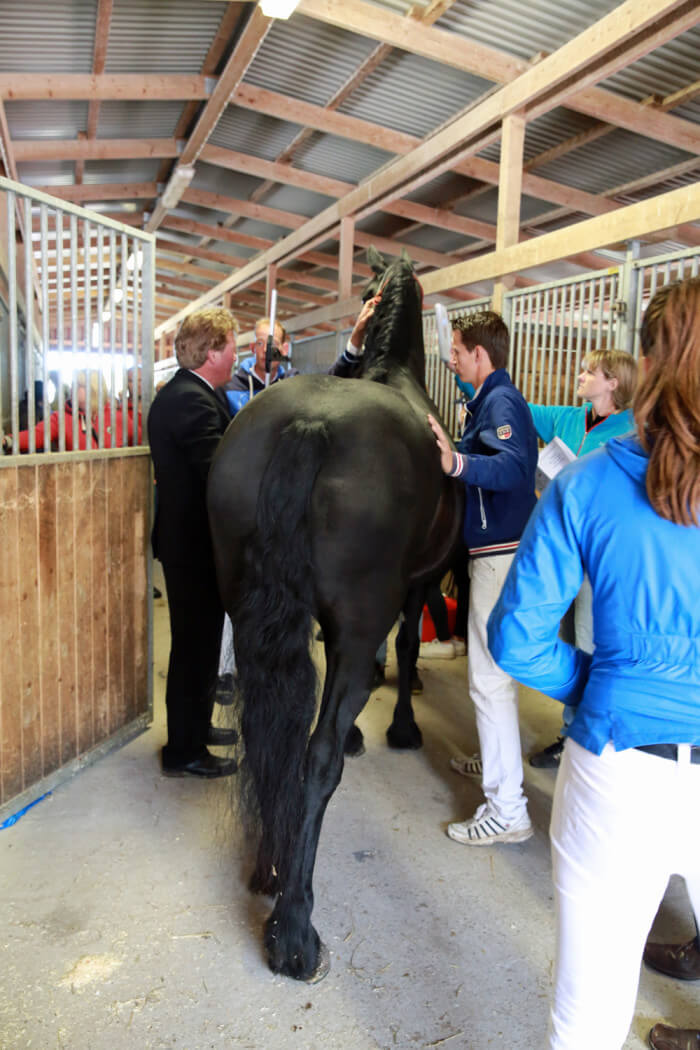 Funktionärer sökes till premieringar