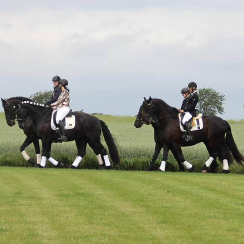 SFHF i Skåne Facebook-grupp