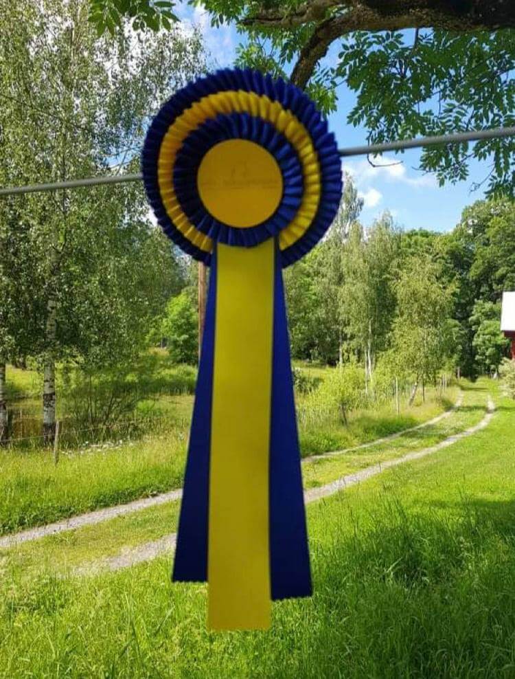 Sweden Friesian Tour 2021 uppdatering