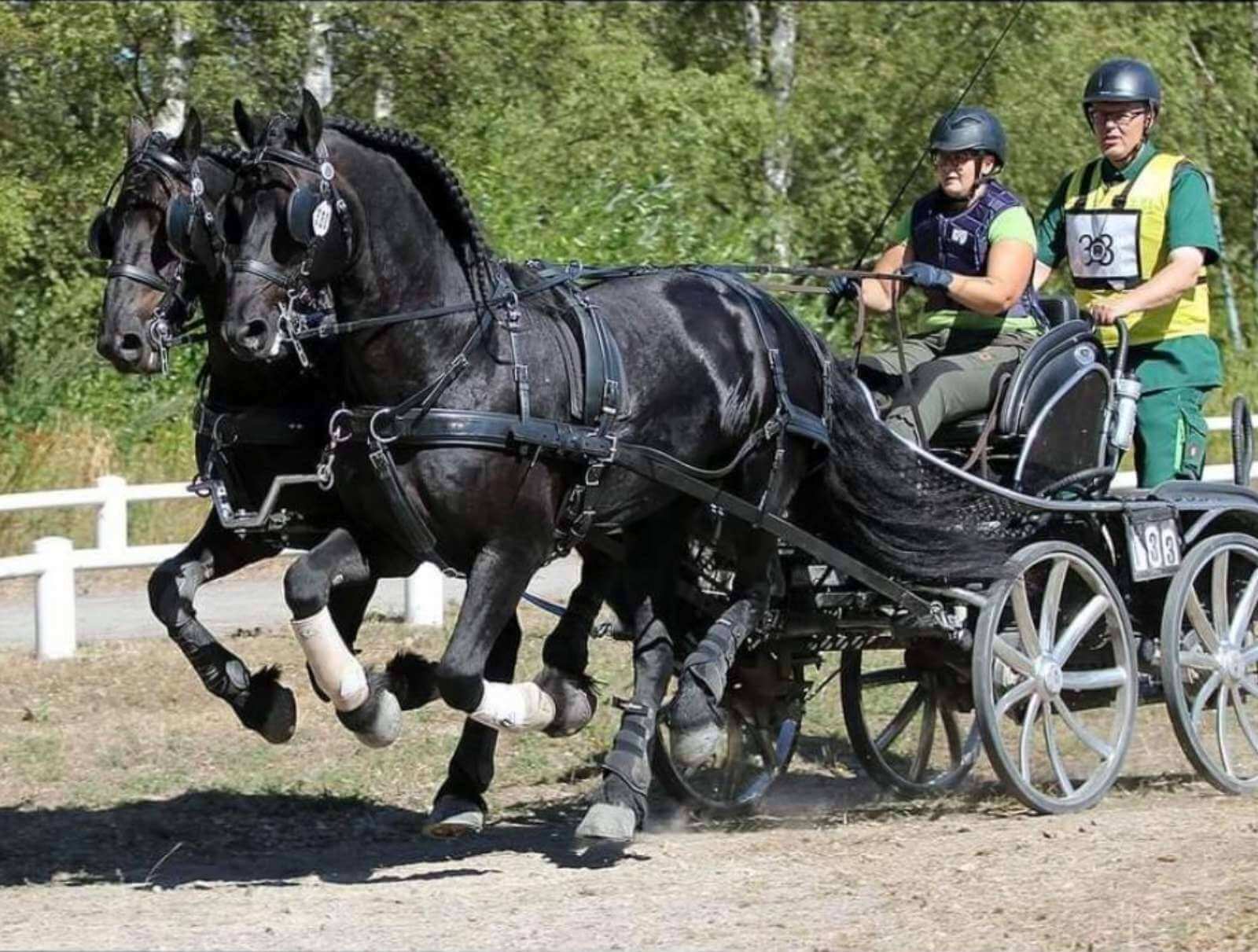 Vinnare av prestationspriset 2023