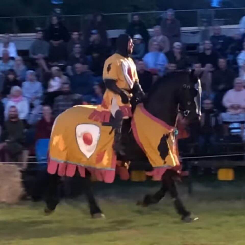 Helix (Tietse 428) och Fredrik Strange på tornerspel