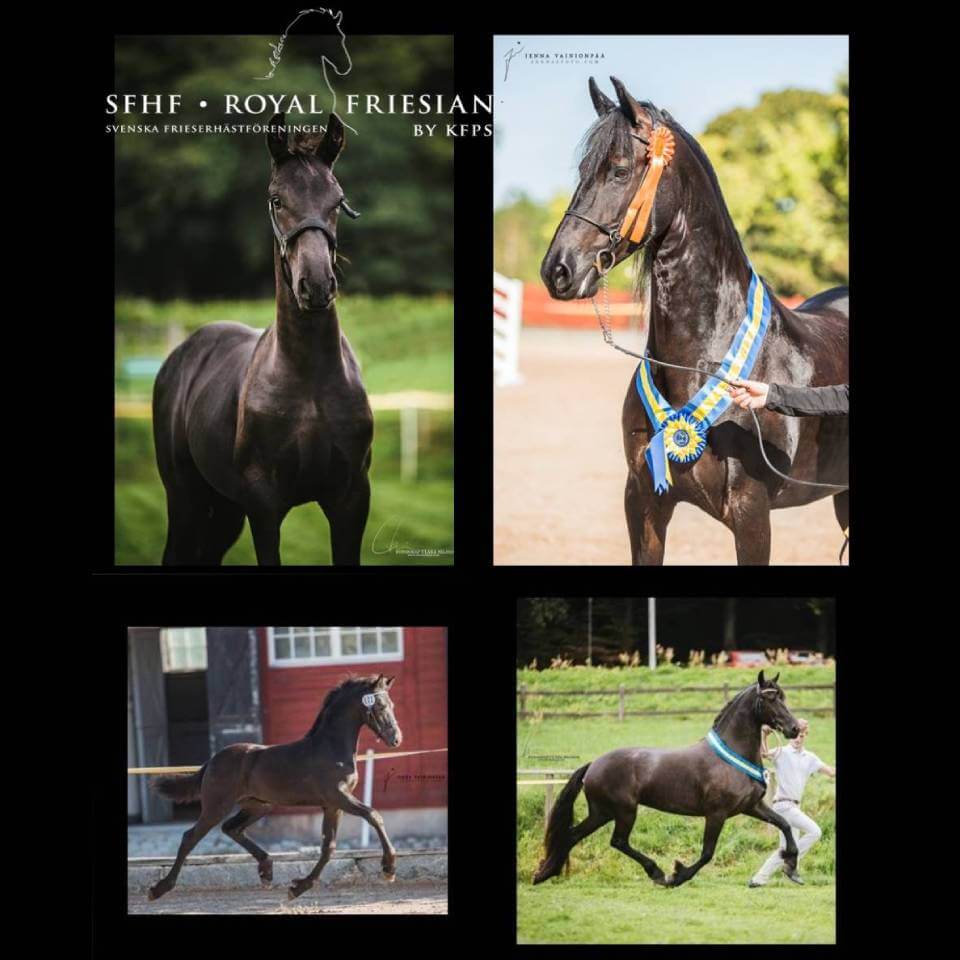 Välkommen till premieringarna 2021