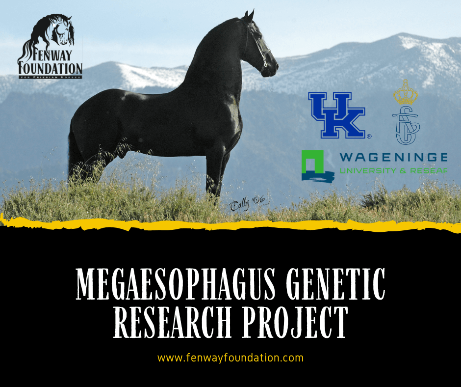 Megaesophagus Genetic Research Project Update
