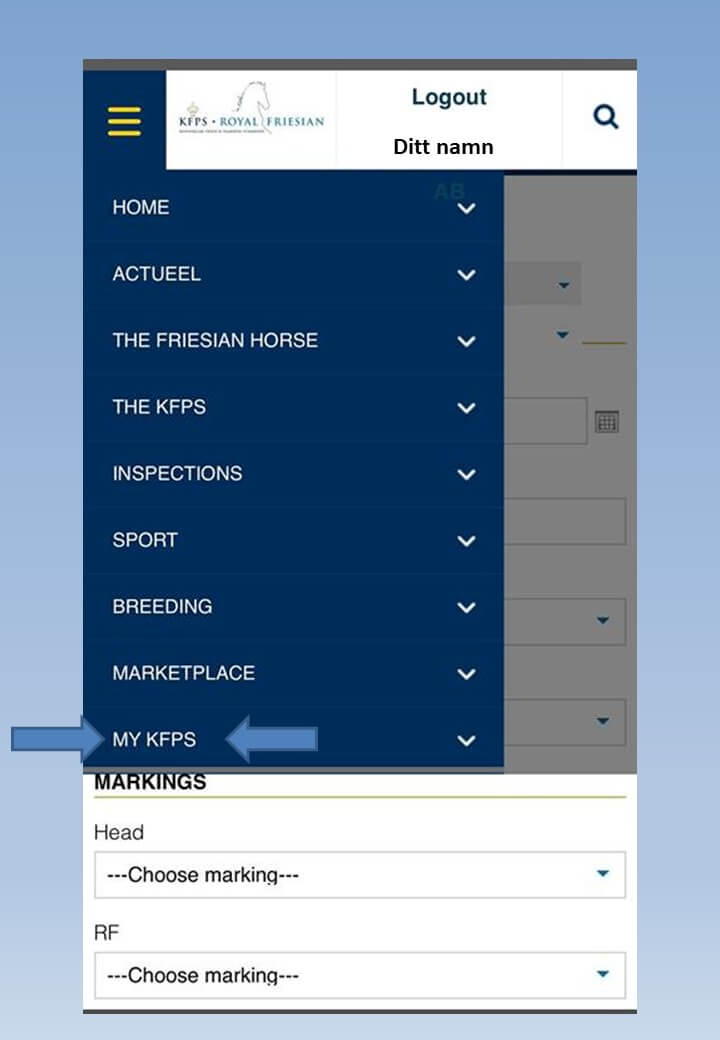 Frieserhäst fölregistrering pass