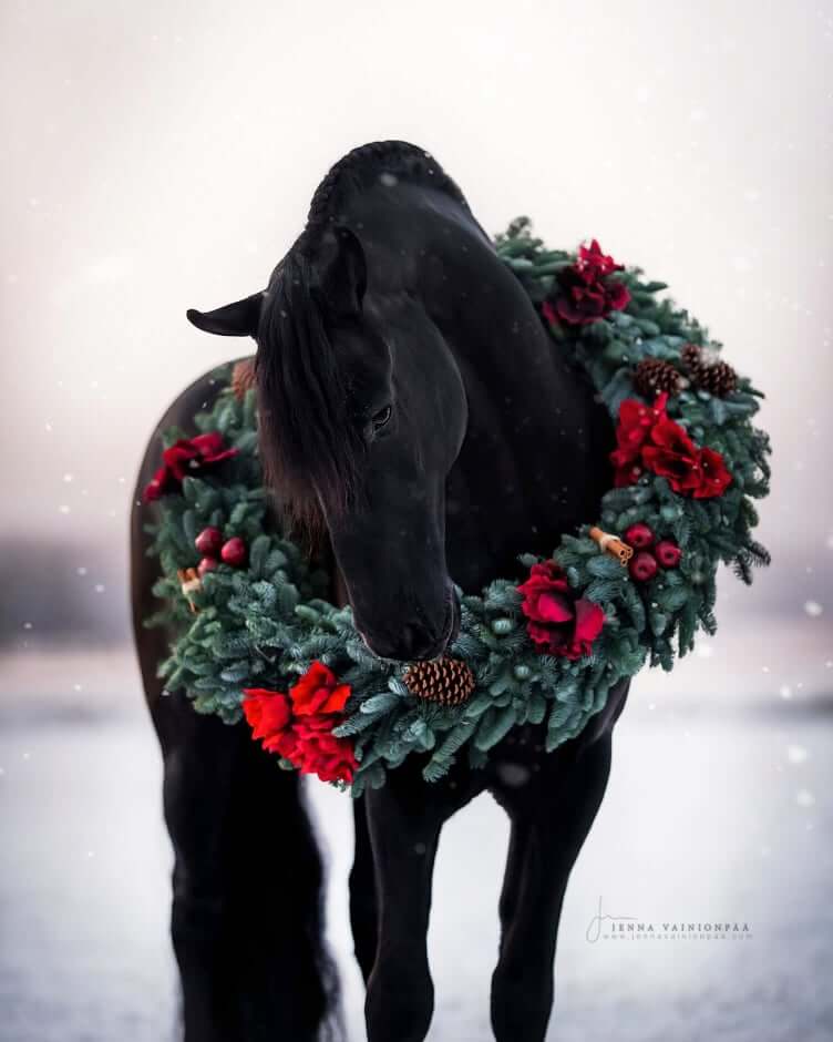 God Jul & Gott Nytt År