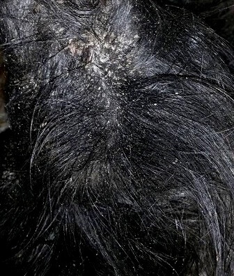 12729085_10153508367301896_5690827329483242706_n