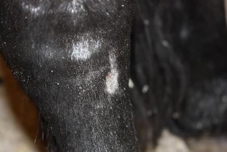 544724_10150754236081816_1142816528_n