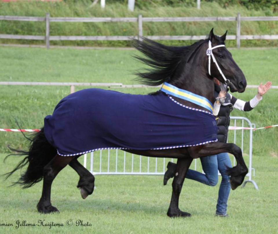 Premiering Åstorp 2012