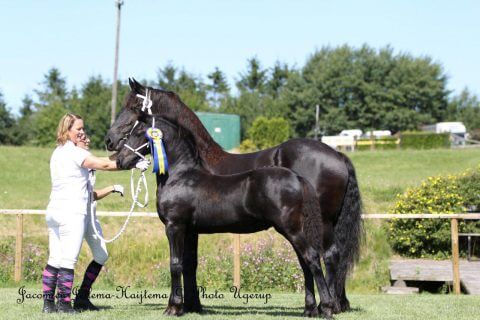Maston från Norrhullt, ägare Mildred Kronstrand