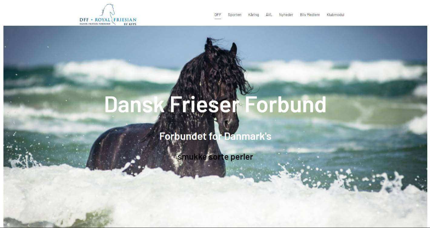 dansk-frieser-forbund