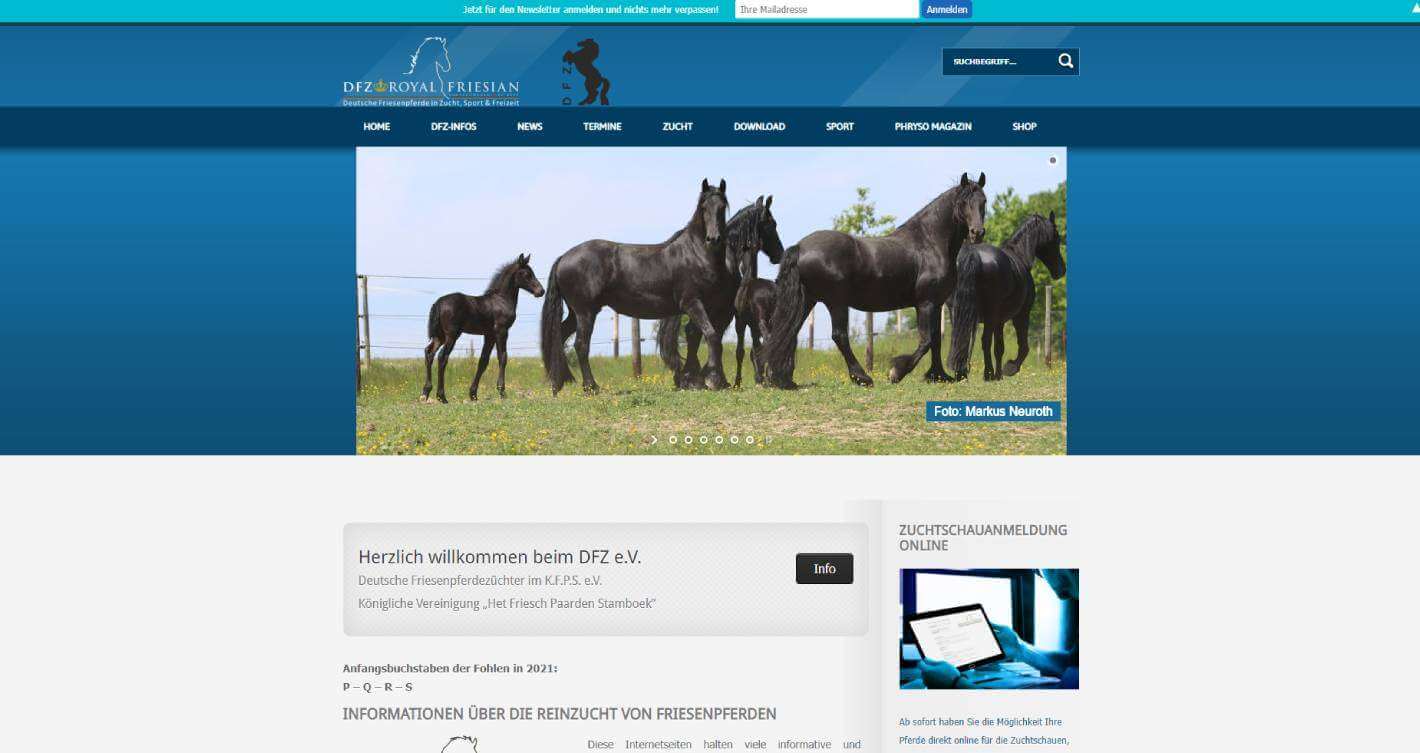 dfz-hemsida