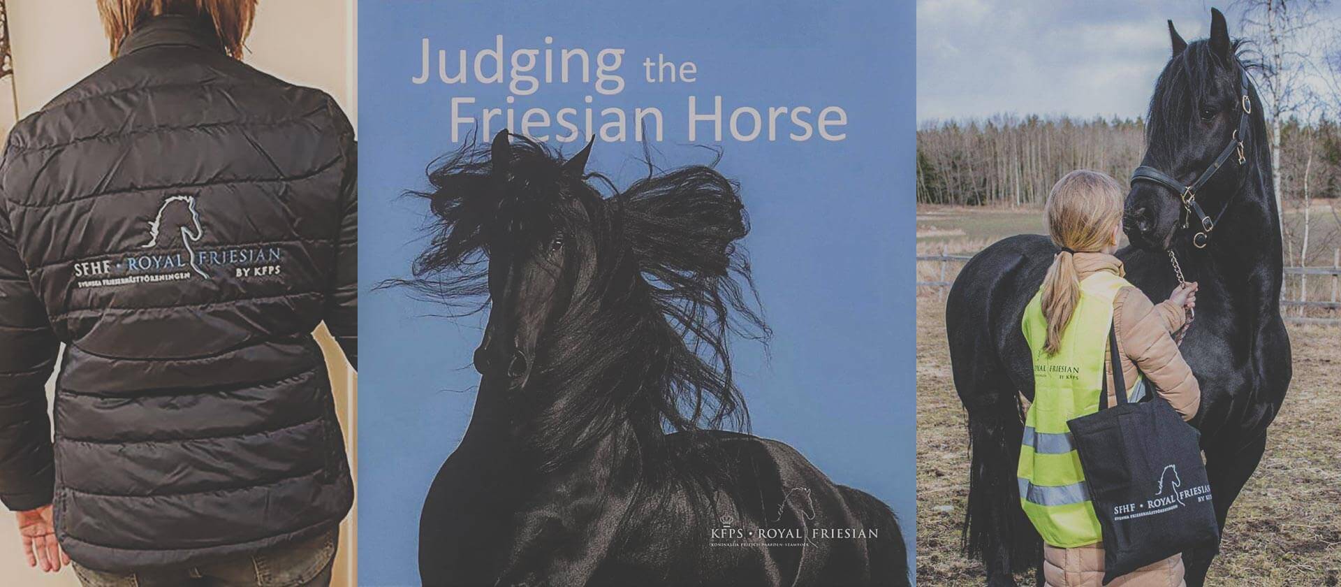 Sfhf Butik Header 840h