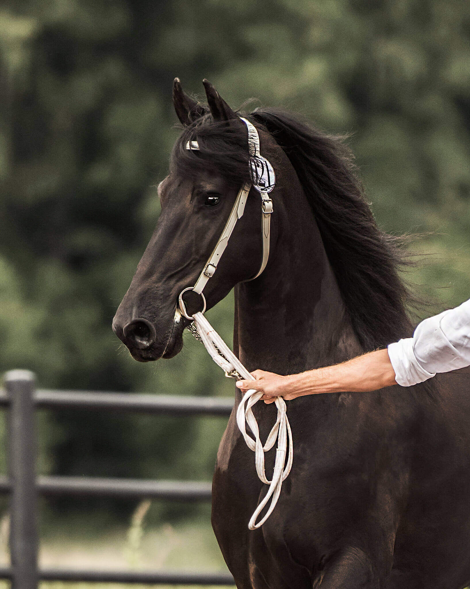 Startlista premiering 2023