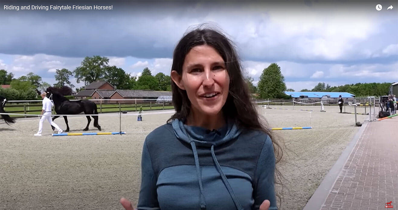 Riding And Driving 2