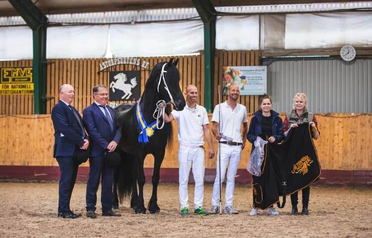 Svenska Frieserhästföreningens avelspris 2022