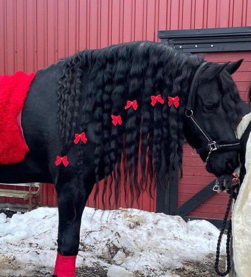 Wiks Slott 2-4/6-2023