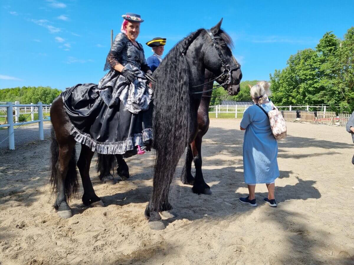 SFHF- Hastrundan 2023