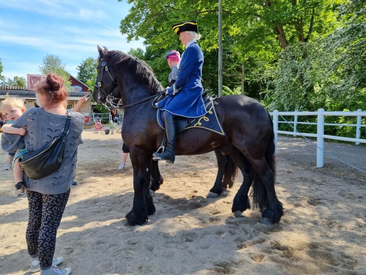 SFHF- Hästrundan 2023