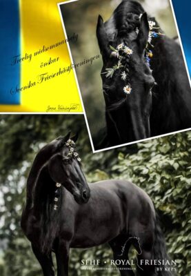 Trevlig midsommarhelg!