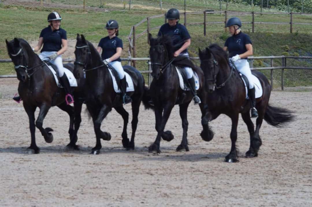 Hästens dag 30/7 Krapperup, Skåne 2023