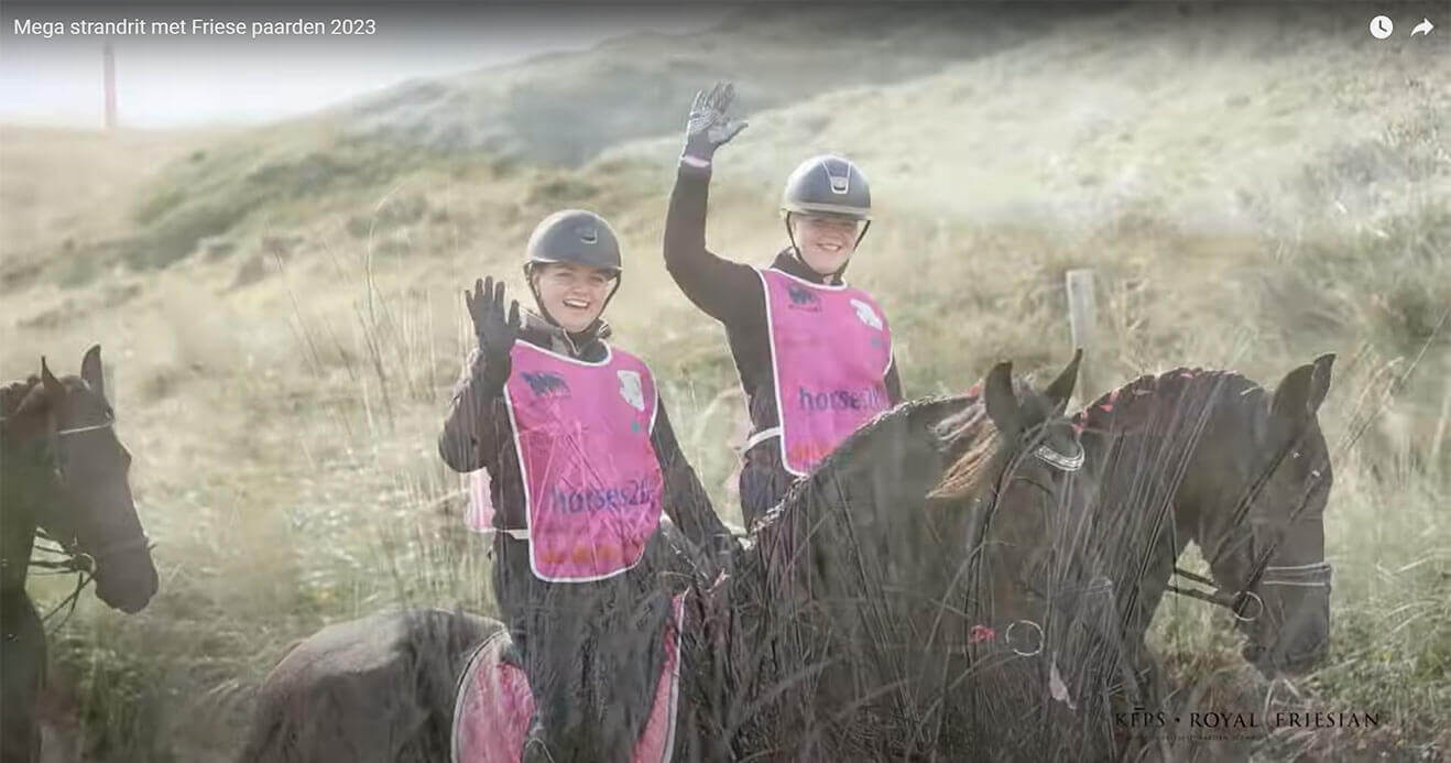 500 Frieserhastar Pa Strand 2