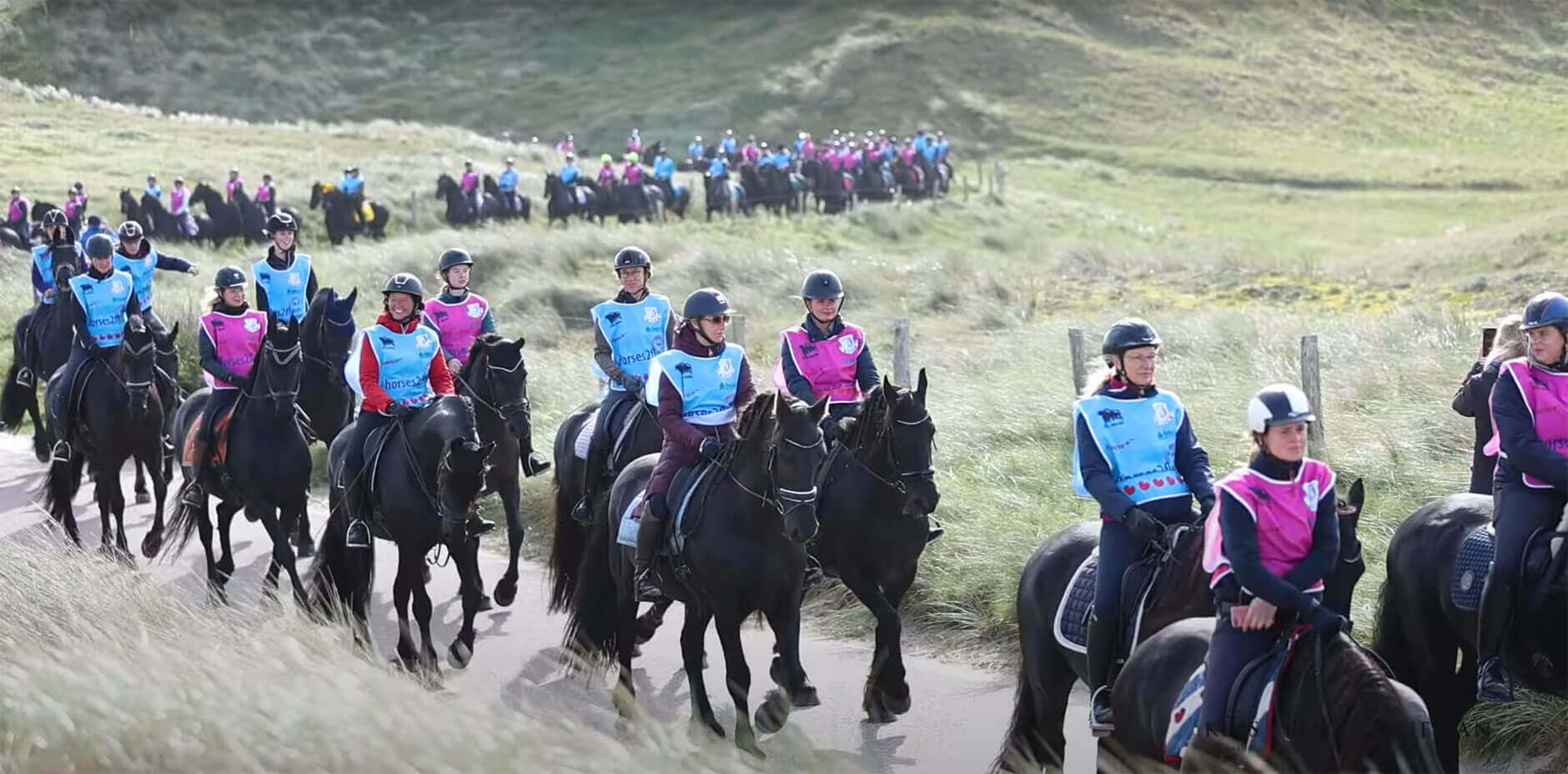 500 frieserhästar på en strand