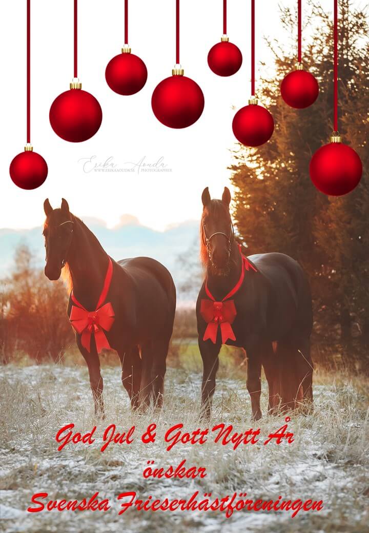 God Jul & Gott Nytt År!