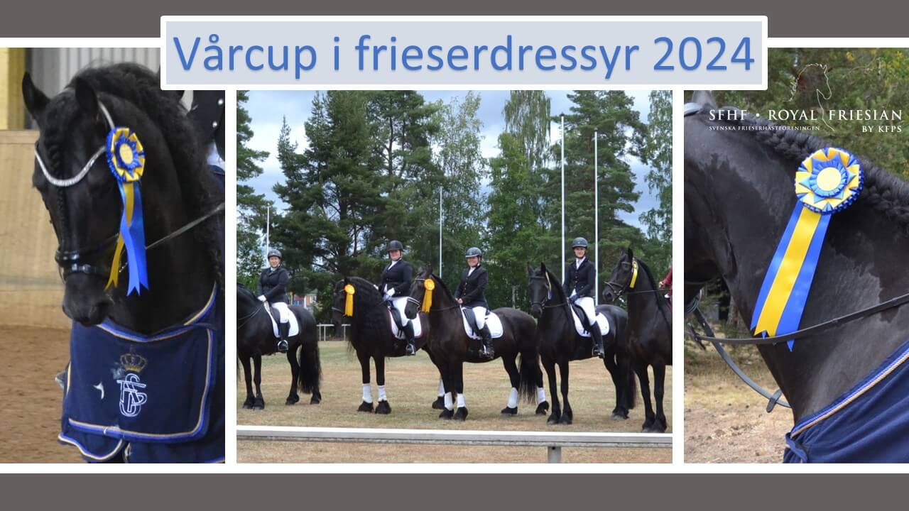 Vårcup i frieserdressyr 2024