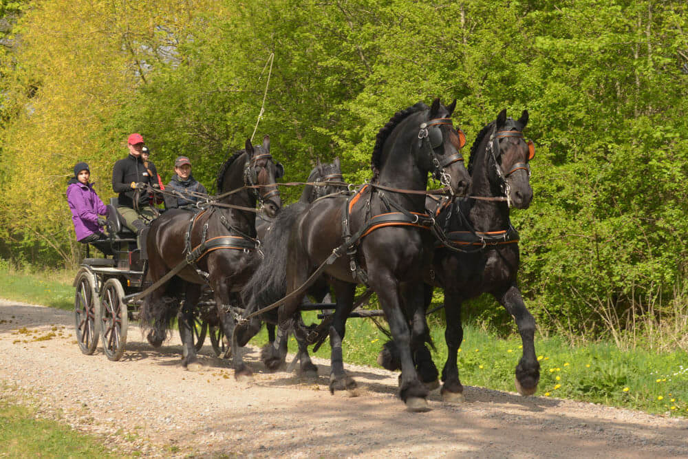 Prestationsprisvinnare Special 2023 Jessica 2