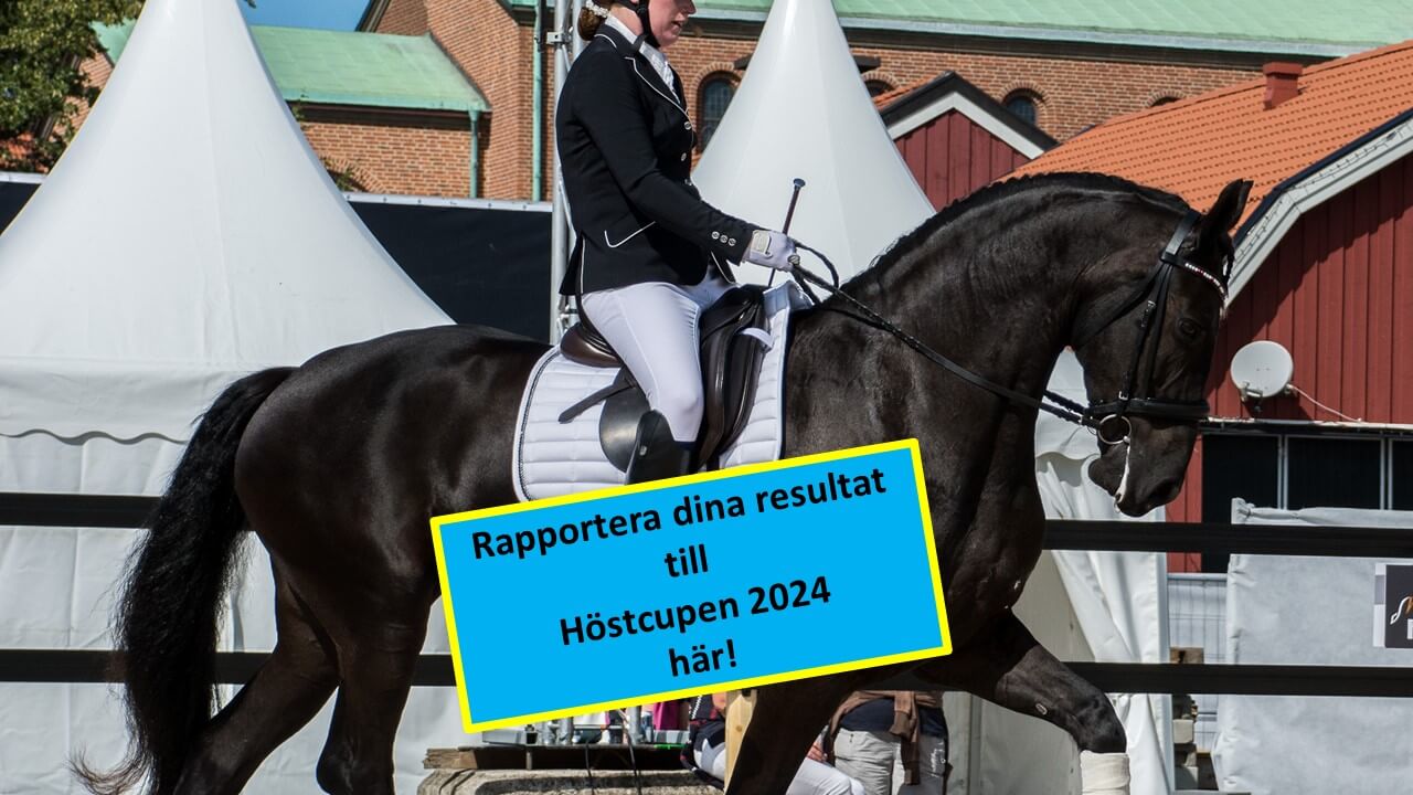 Rapportera dina resultat till Höstcupen här!